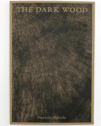 book cover of The Dark Wood, wood grain image