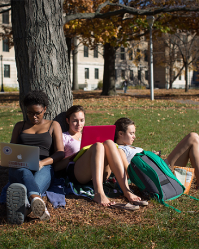 photo of students studying under a tree