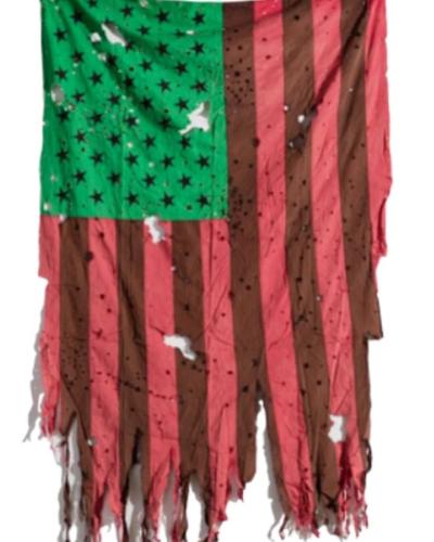 Image of David Hammons, Untitled (Flag), 2017. [Image courtesy of David Hammons]